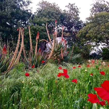 Casa Orsoni Apartment