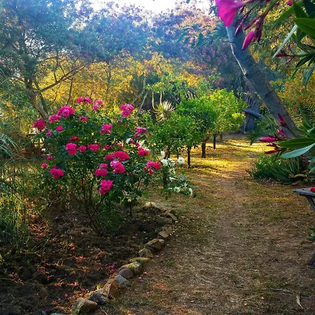 Casa Orsoni Apartment Calvi (Corsica)