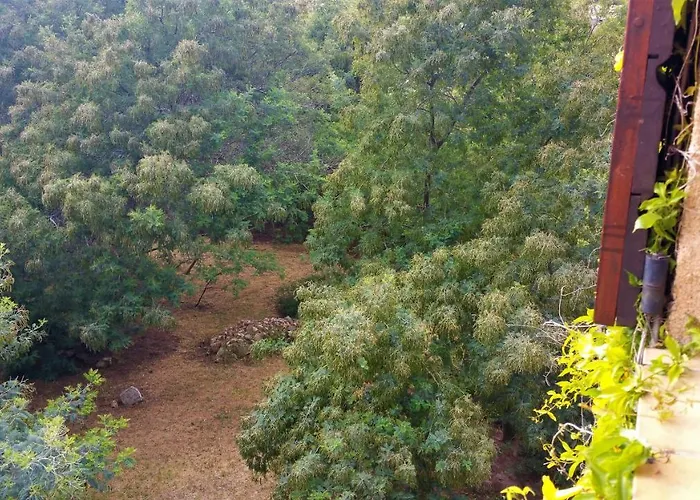 Casa Orsoni Apartment