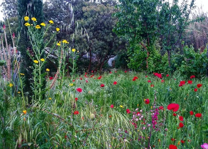 Casa Orsoni * Calvi (Corsica)