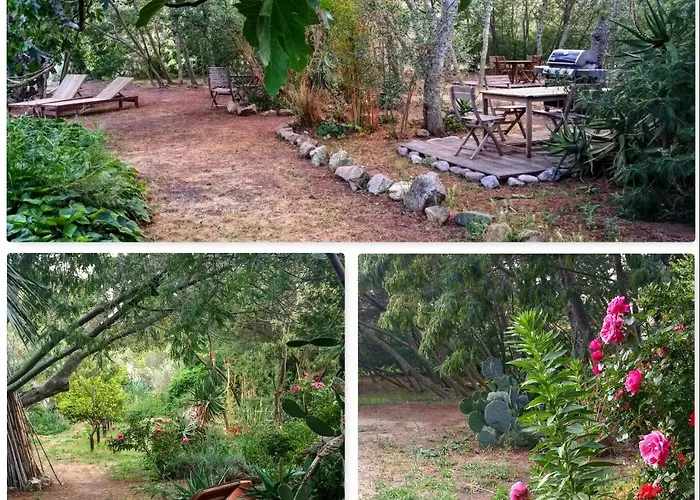 Casa Orsoni * Calvi (Corsica)