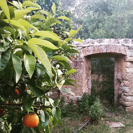 Casa Orsoni *