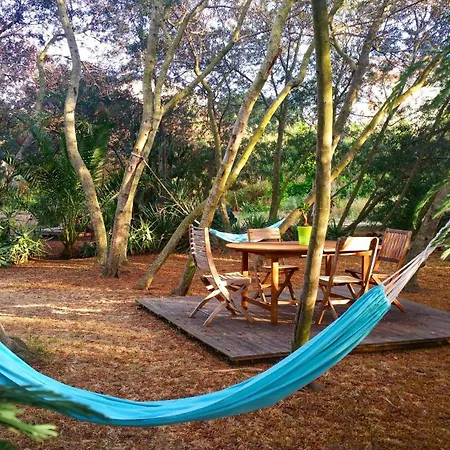 Casa Orsoni Calvi (Corsica)