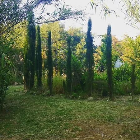 Casa Orsoni Calvi (Corsica)