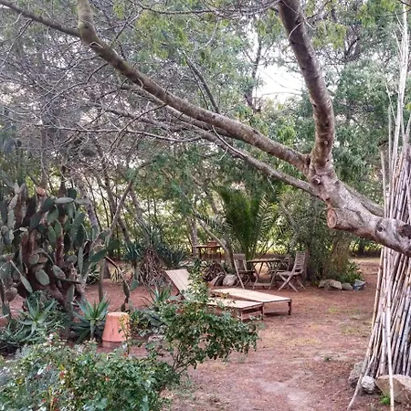 Casa Orsoni Appartement Calvi (Corsica)