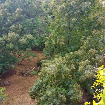 Casa Orsoni Appartamento