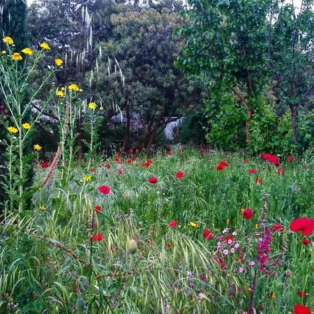 Casa Orsoni * Calvi (Corsica)