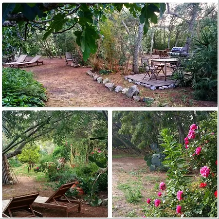 Casa Orsoni * Calvi (Corsica)