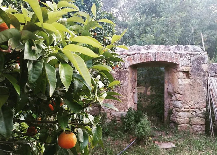 Casa Orsoni *