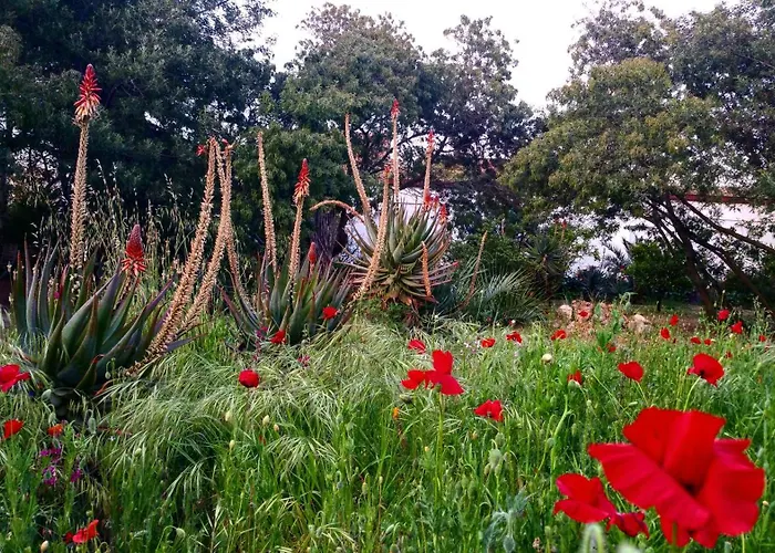 Casa Orsoni Apartmán