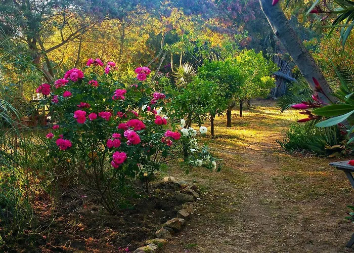 Casa Orsoni Apartmán Calvi (Corsica)