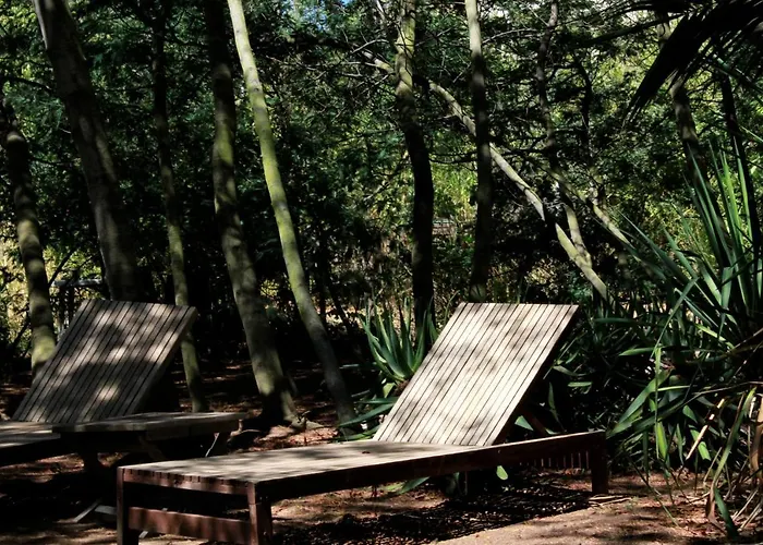 Casa Orsoni Calvi (Corsica)