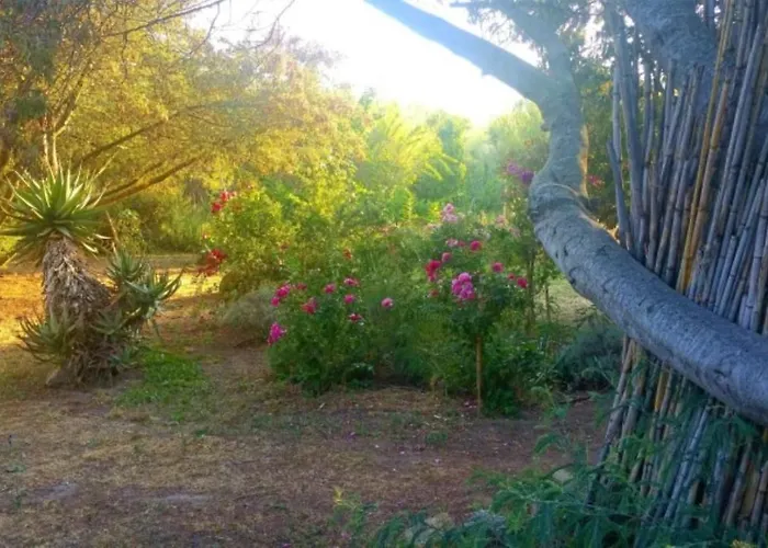 Apartmán Casa Orsoni